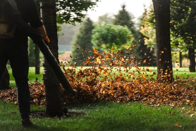 Empresa de manutenção de jardins