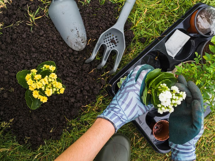 Empresa terceirizada de jardinagem