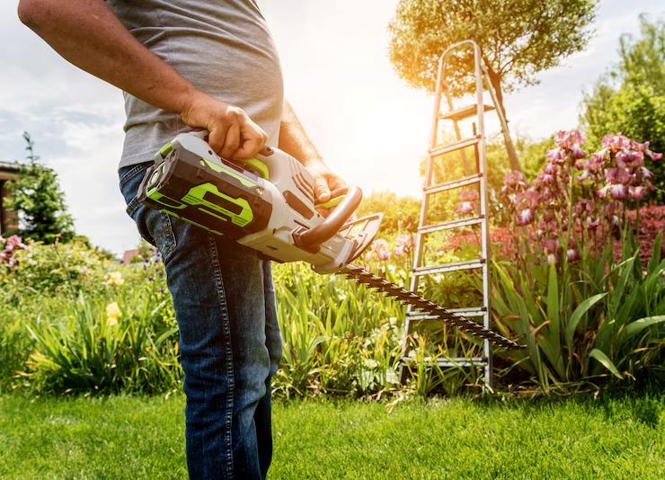 Empresas de jardinagem para condomínios