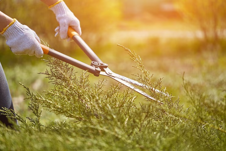 Jardinagem para condomínios