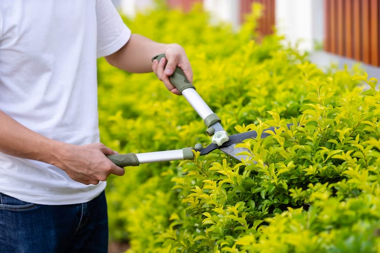 Serviço de jardinagem em condomínios